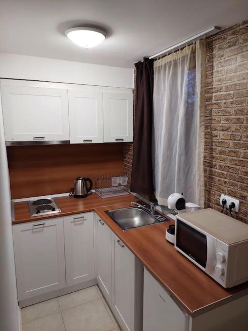 Apartment In Green Life Ski&Spa Resort -班斯科 外观 照片