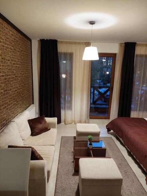 Apartment In Green Life Ski&Spa Resort -班斯科 外观 照片
